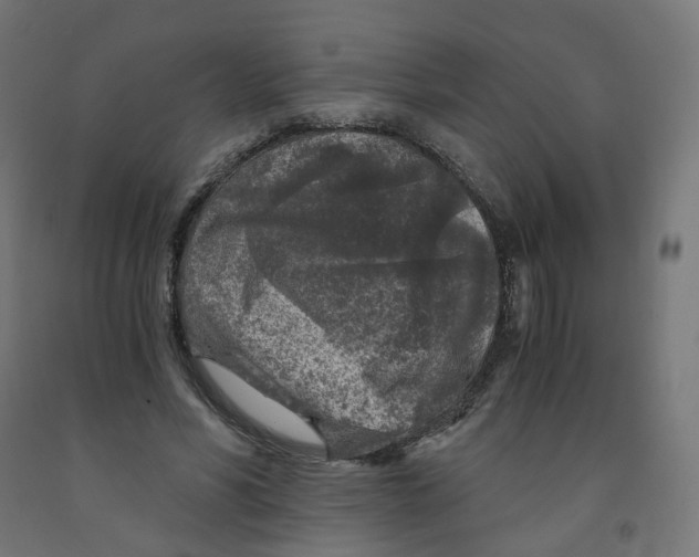 X0000091900590200710031824