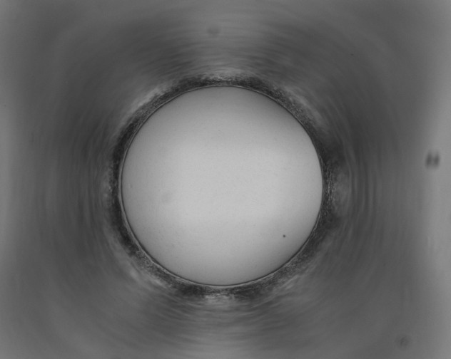 X0000091900591200710031824