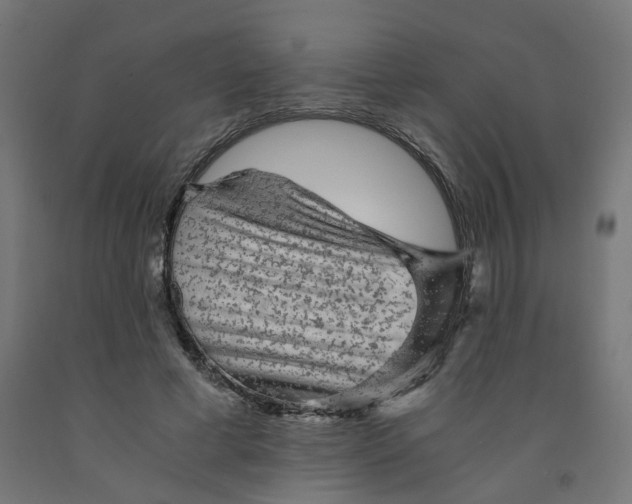 X0000091900593200710031824