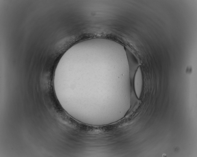 X0000091900594200710031824