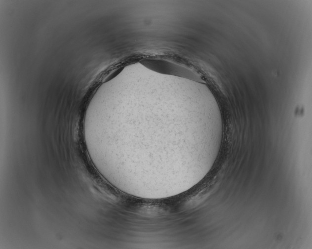 X0000091900596200710031824