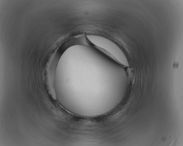 X0000091900597200710031824