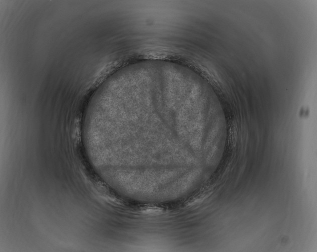 X0000091900598200710031824