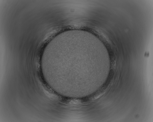 X0000091900599200710031823