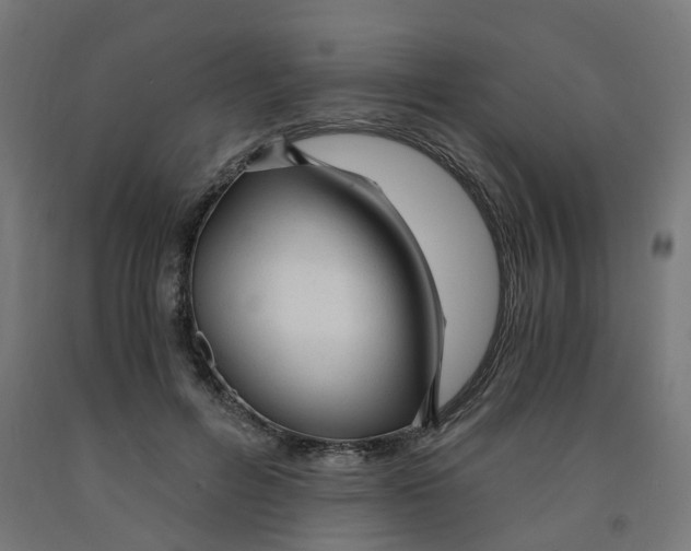 X0000091900600200710031823