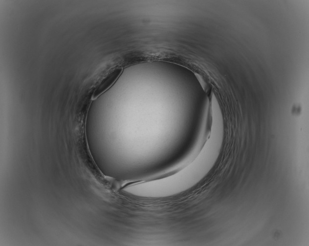 X0000091900601200710031823