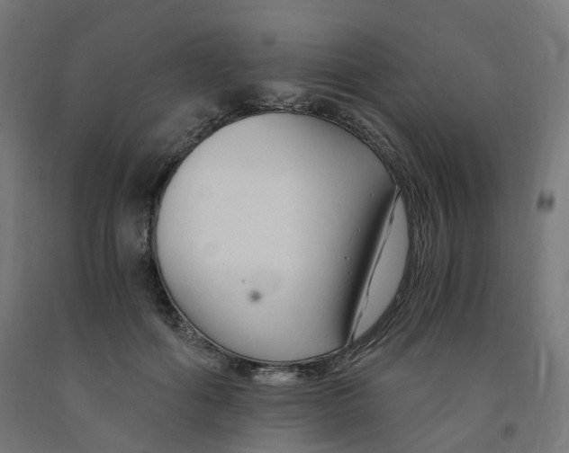 X0000091900602200710031823