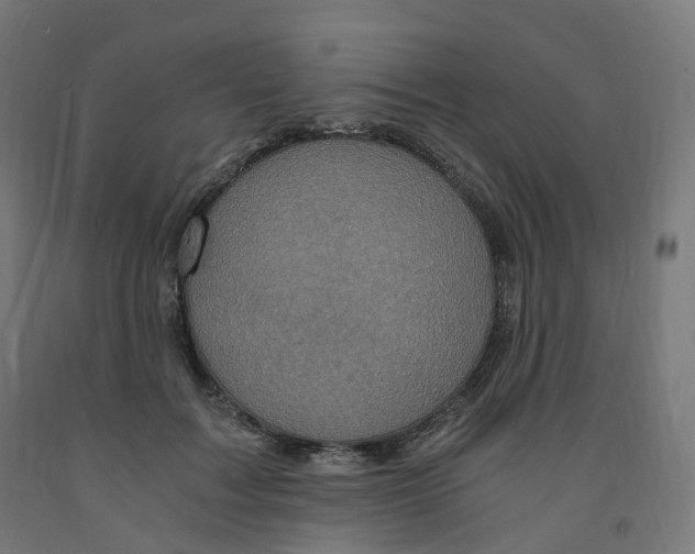 X0000091900603200710031823