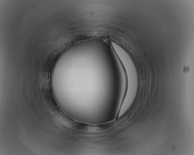 X0000091900605200710031823