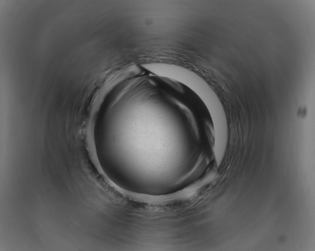 X0000091900608200710031823