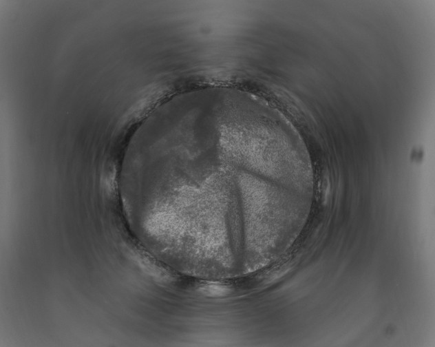 X0000091900610200710031823