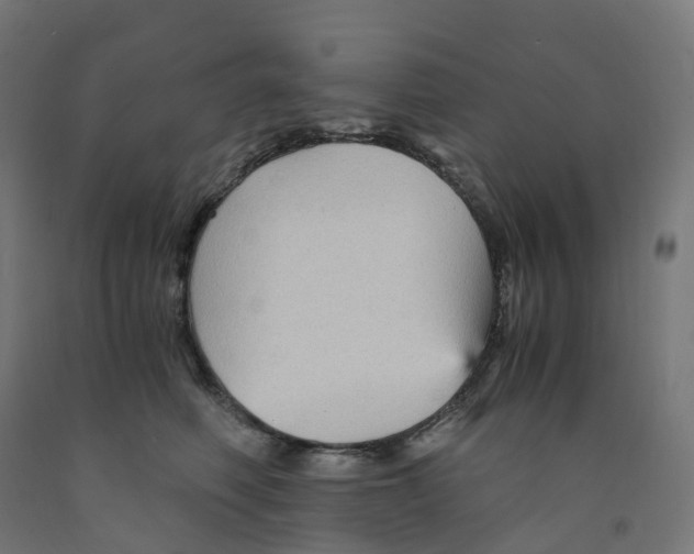 X0000091900614200710031823