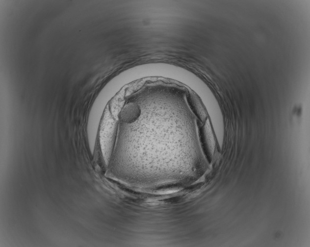 X0000091900617200710031823