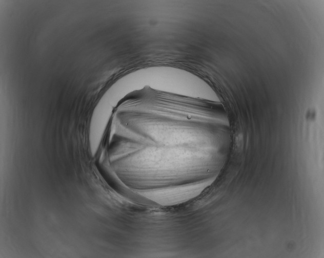 X0000091900620200710031823