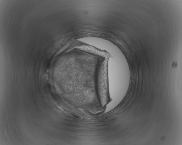 X0000091900621200710031823