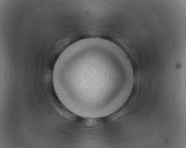 X0000091900623200710031823