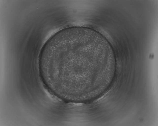 X0000091900626200710031823