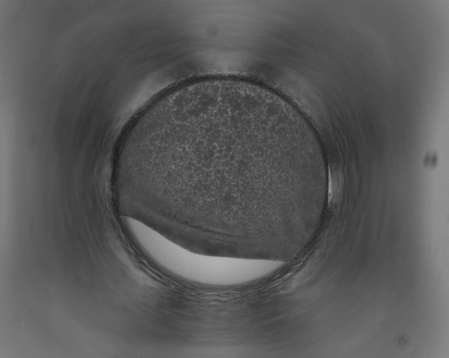 X0000091900627200710031823