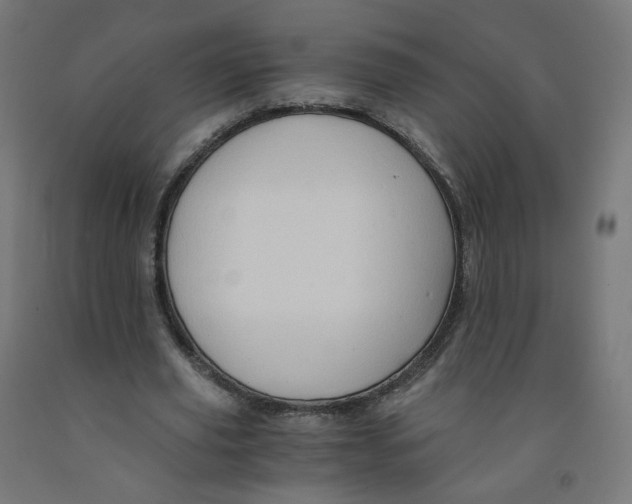 X0000091900629200710031823