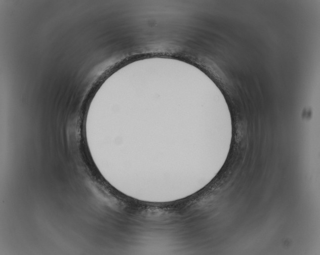 X0000091900632200710031823