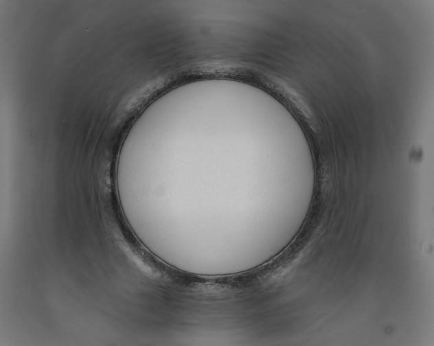 X0000091900633200710031823