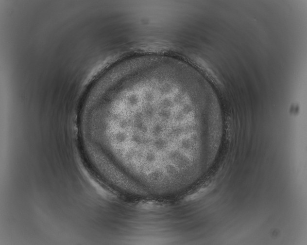 X0000091900634200710031823