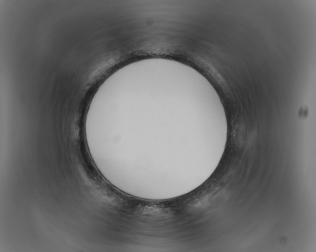 X0000091900635200710031823