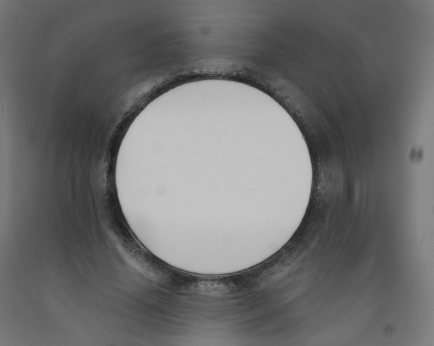 X0000091900636200710031823