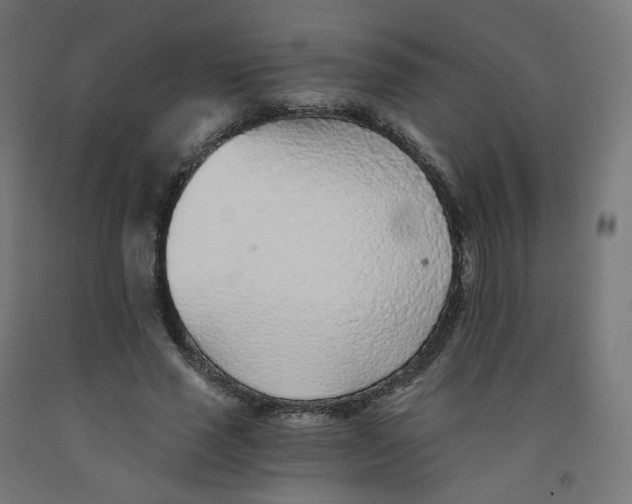 X0000091900637200710031823