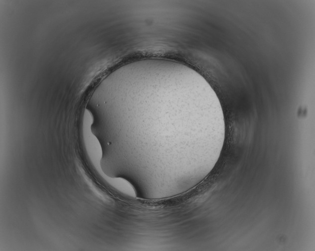 X0000091900638200710031823