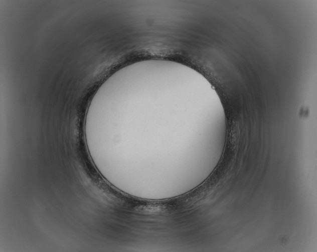 X0000091900639200710031823