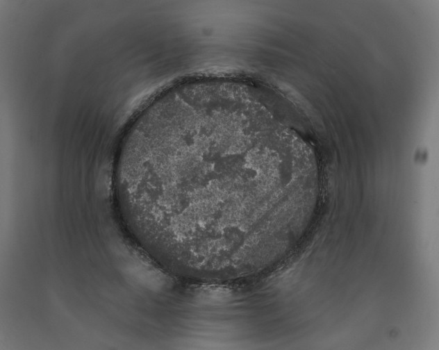 X0000091900640200710031823