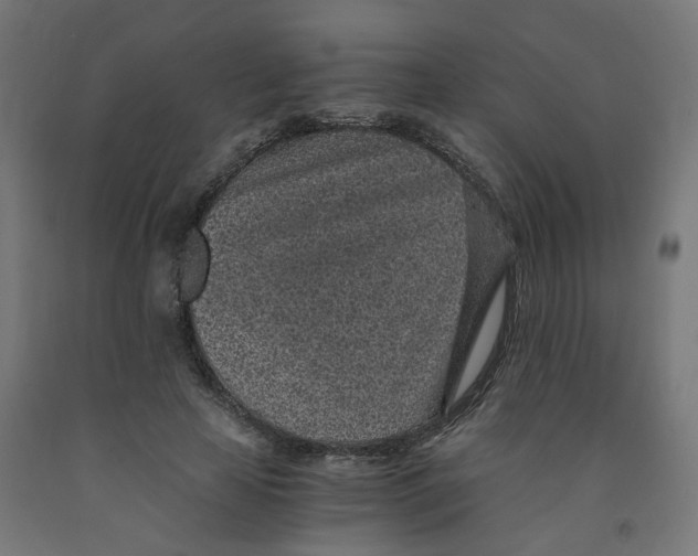 X0000091900641200710031823