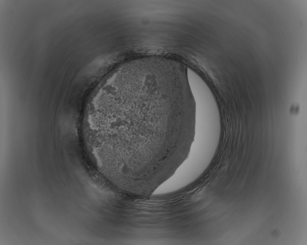 X0000091900643200710031823