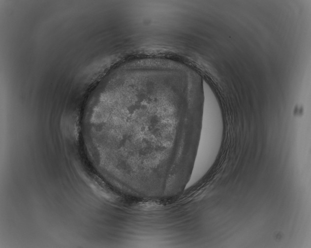 X0000091900644200710031823