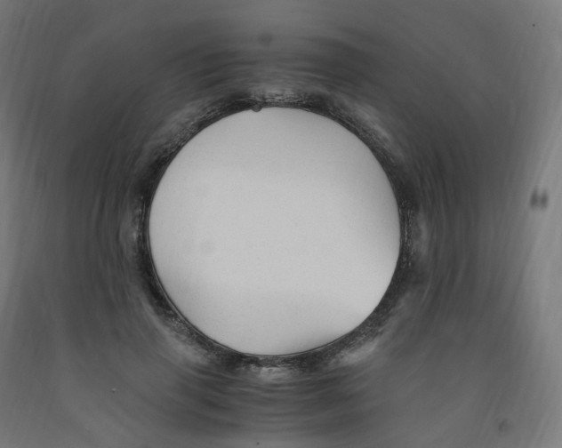 X0000091900645200710031823