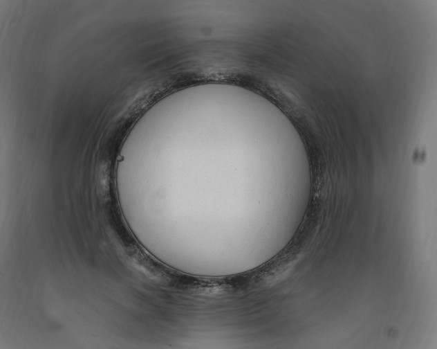 X0000091900646200710031823