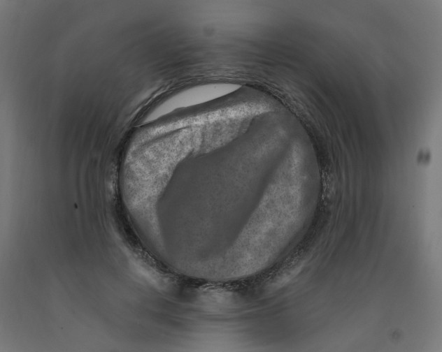 X0000091900648200710031823