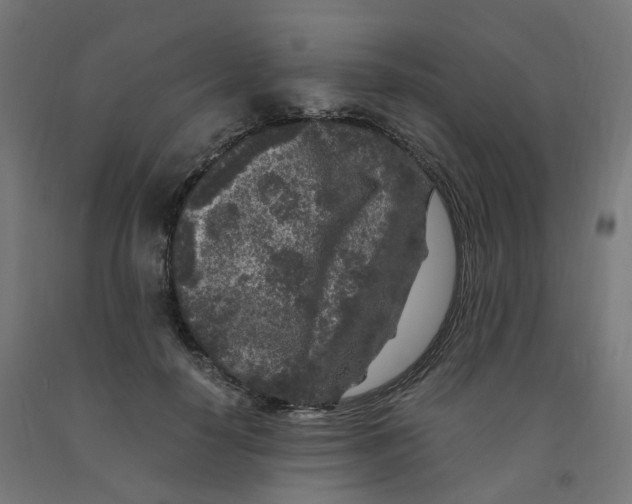 X0000091900650200710031823