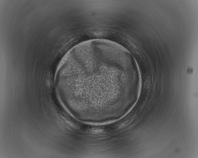 X0000091900651200710031823