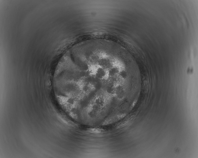 X0000091900654200710031823