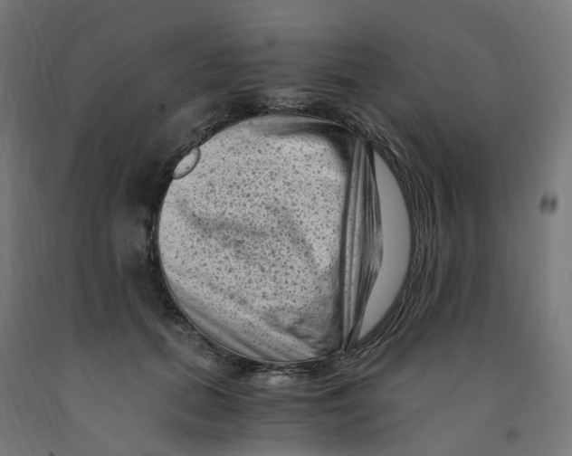 X0000091900655200710031823