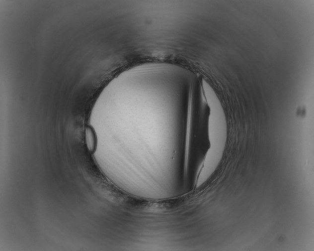 X0000091900656200710031823