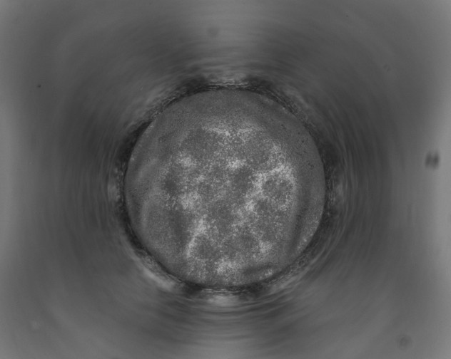 X0000091900658200710031823