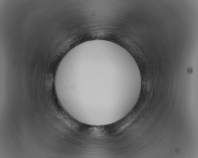 X0000091900660200710031823