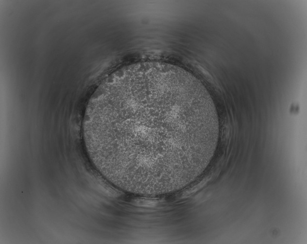 X0000091900661200710031823