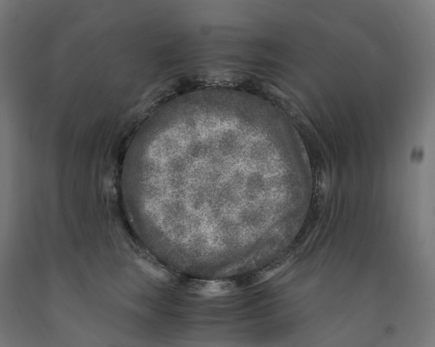 X0000091900663200710031823