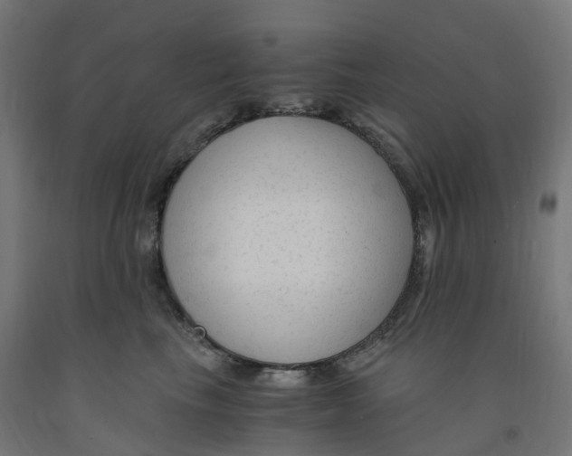 X0000091900665200710031823