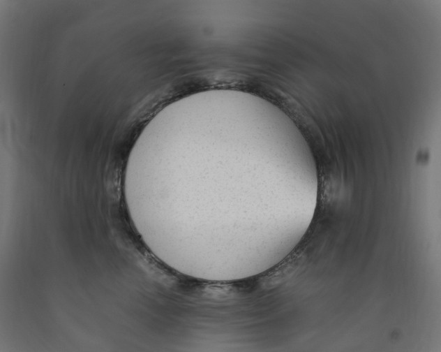 X0000091900666200710031823