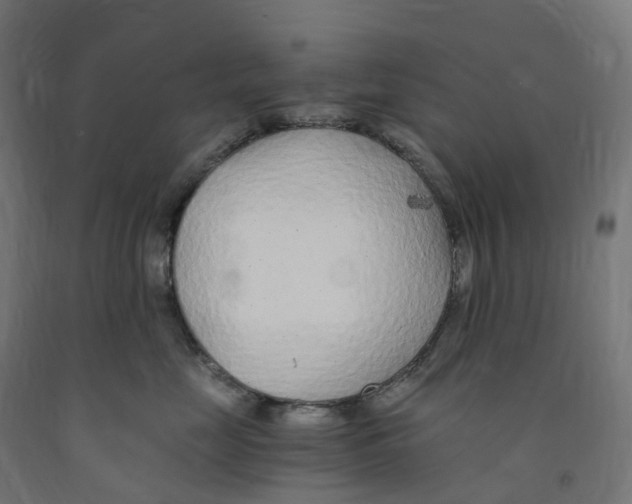 X0000091900669200710031823